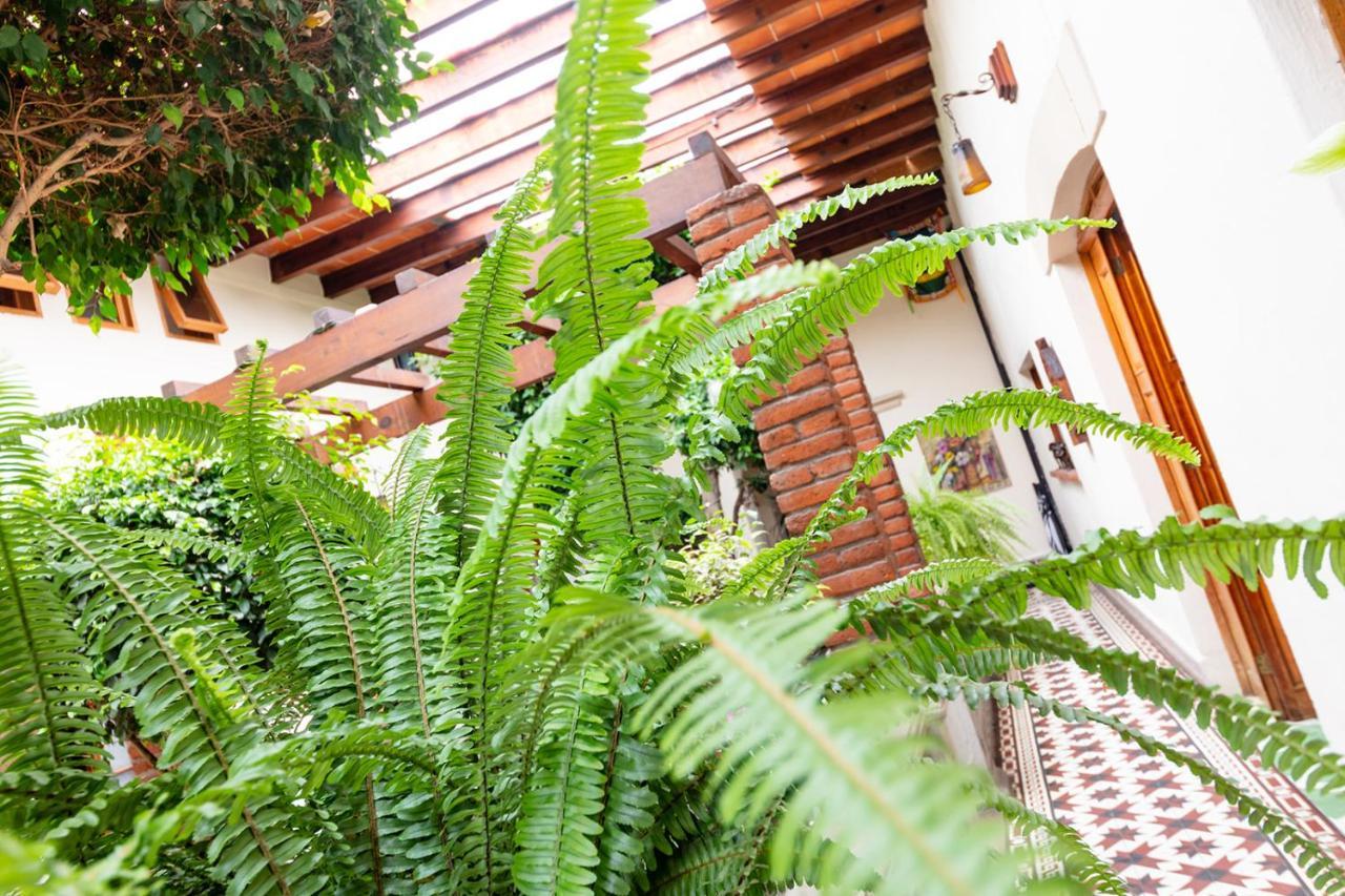 Meztli: Casa Boutique & Spa Mexiko-Stadt Exterior foto